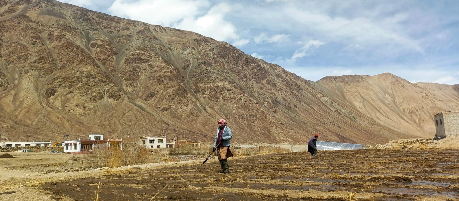 Spring plowing in Shachukul